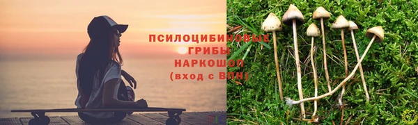 молекула духа Нязепетровск