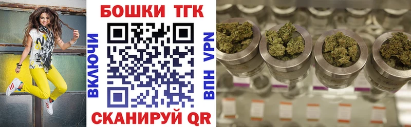 Бошки Шишки SATIVA & INDICA  Купить закладки  Красноармейск 